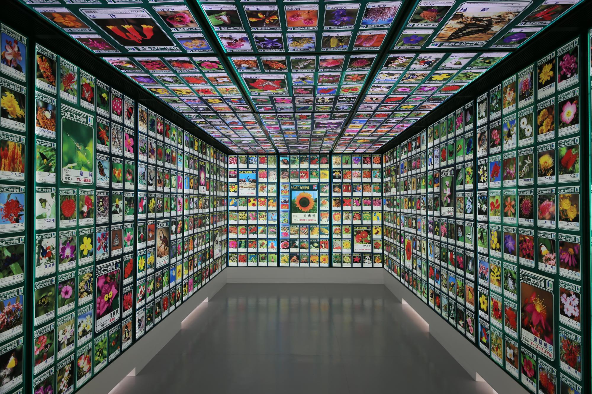 3F展示室